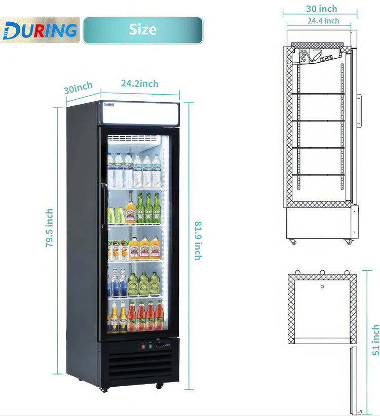 Beverage cooler with dimensions labeled on a white background