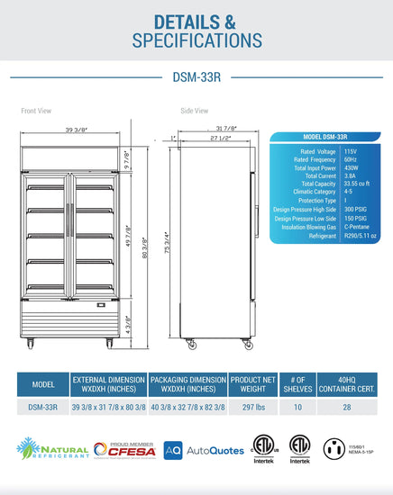 DSM-33R